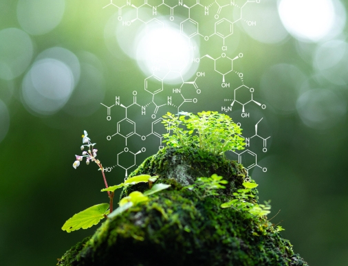 Lifecycle Assessment