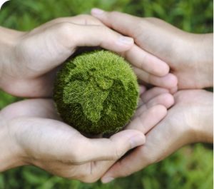 Responsible Sourcing